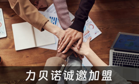 商城網(wǎng)站，可以咨詢(xún)濟南搜索聯(lián)盟?。?！